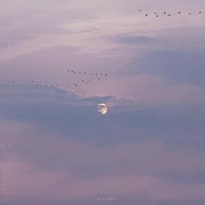 新疆旱厕拉屎视频最新
